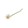 Anemone, hvit