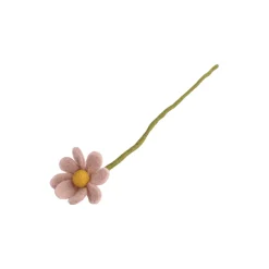 Anemone, støvete rosa