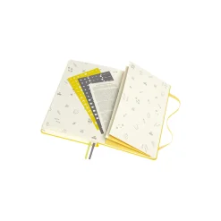 Baby Journal, gul