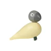Bella Year Bird 2025