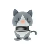 Blue American Shorthair, blue