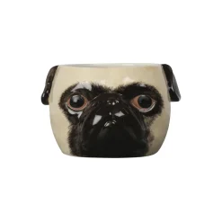 Buster skål, beige/brown