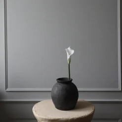 Calla Lily blomst, hvit
