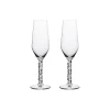 Carat champagneglass 2 stk
