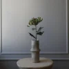 Chrysanthemum blomst, grønn