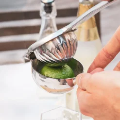 Citrus juicer