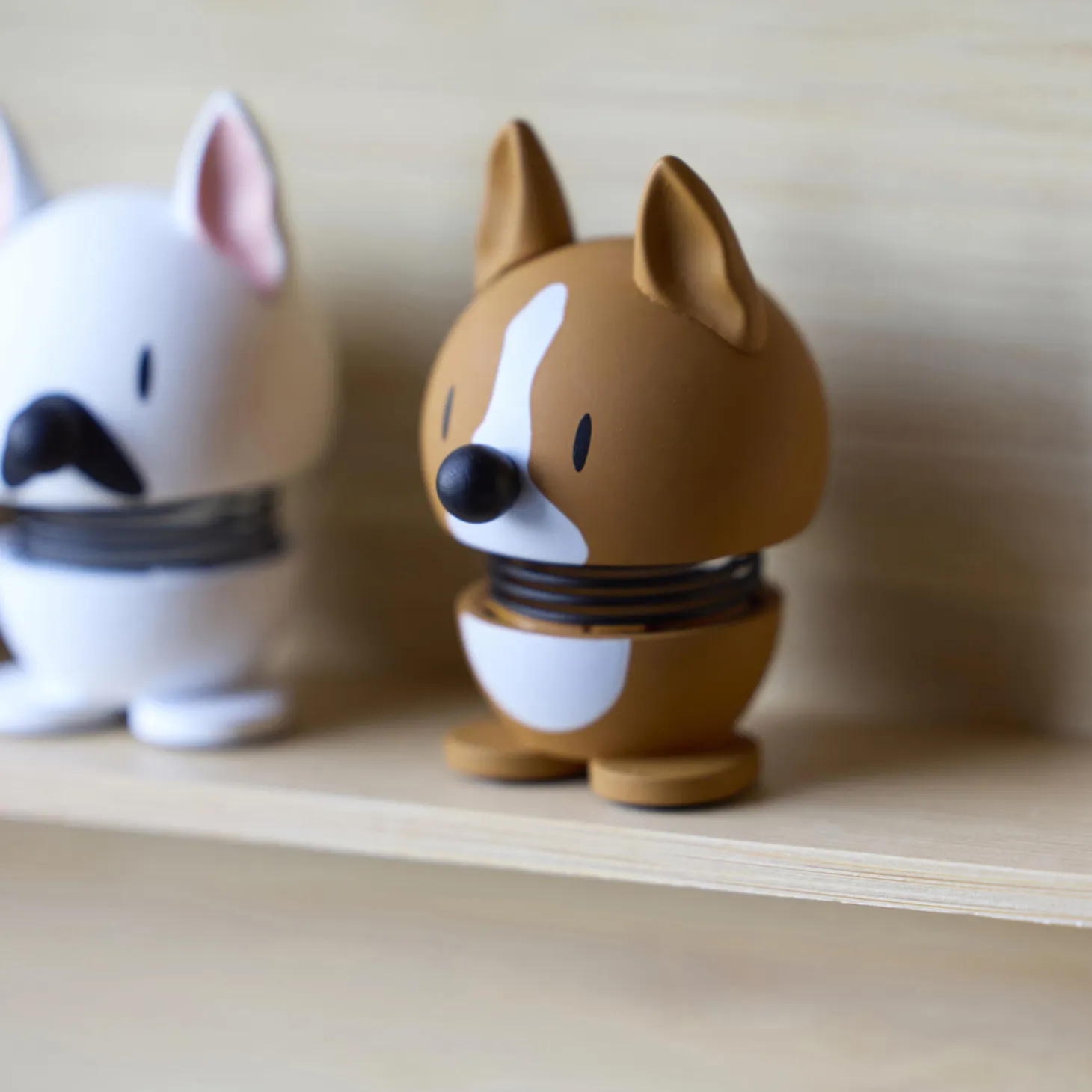 Corgi, brown