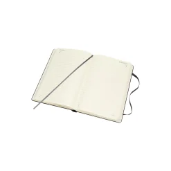 Daily Planner 2021, sort