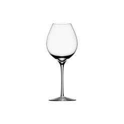 Difference fruit vinglass