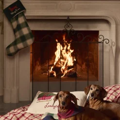 Dog Sleigh Velvet Pillow, white multi