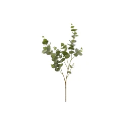 EUKALYPTUS KLOKKE-GREN, grønn