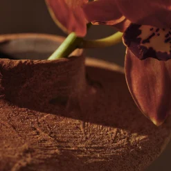 Evio Vase, burnt umber