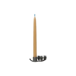 Forest lysestake, black brass