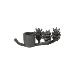Forest lysestake, black brass