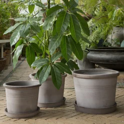 Galestro RAW potte med underfat, grey