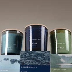 HAV 2 wick Scented Candle