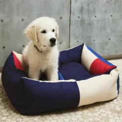 HAY Dogs Seng, red, blue