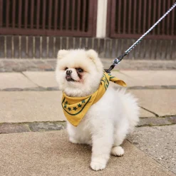 HAY Dogs Skjerf, ochre