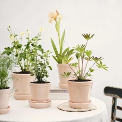 Helena GLAZED potte med underfat, quartz rosa