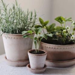 Helena RAW potte med underfat, rosa