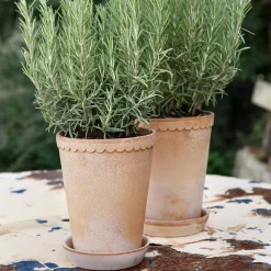 Helena RAW potte med underfat, rosa