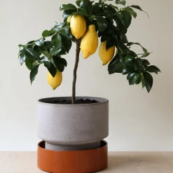 Hoff RAW potte, grey