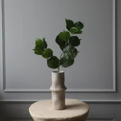Hydrangea blader, grønn