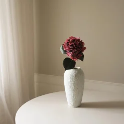Hydrangea blomst, burgunder