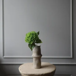 Hydrangea blomst, grønn