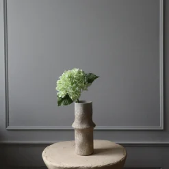 Hydrangea blomst, lysegrønn