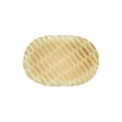 JELLIES FAMILY brett, green