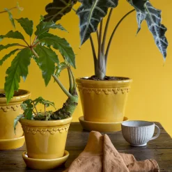 Københavner GLAZED krukke med underfat, amber yellow