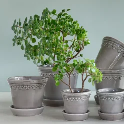 Københavner GLAZED krukke med underfat, pearl grey