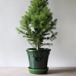 Københavner GLAZED krukke med underfat, emerald green