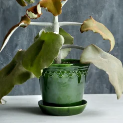 Københavner GLAZED krukke med underfat, emerald green