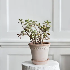 Københavner RAW krukke med underfat, rosa
