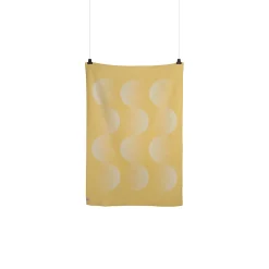 Moon Pledd, Yellow Ray