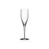 More champagneglass, 4 stk.