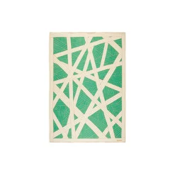 NASTRI pledd, 651