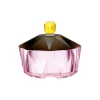 New Haven Basin Rose