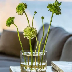 Äng vase liten