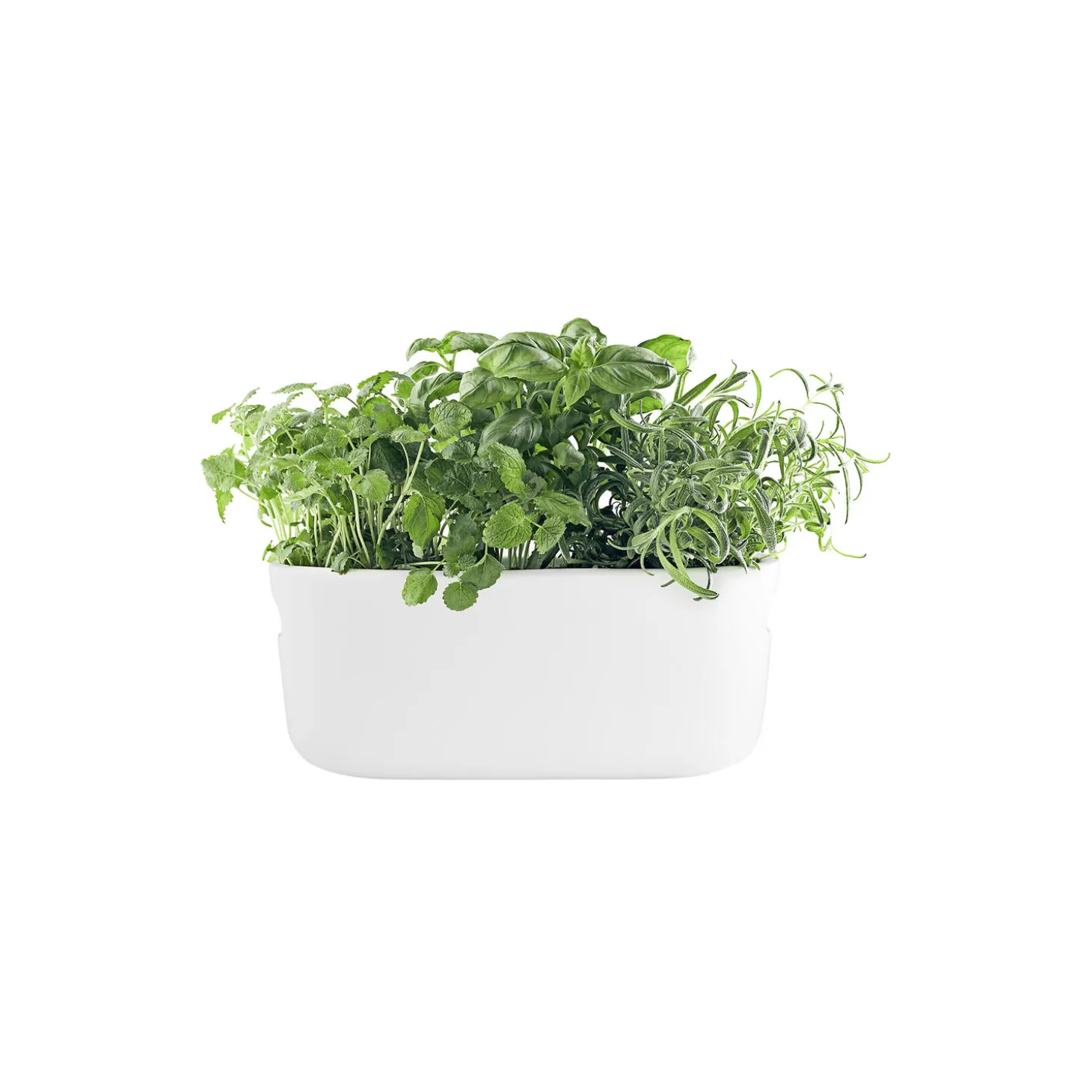 Nordic Kitchen selvvannende herb organiser, hvit