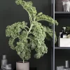 Plant plantekasse, sort