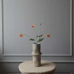 Poppy blomst, korall