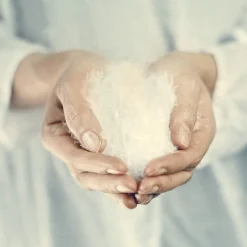 Putefyll, ivory