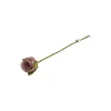 Rose, støvet rosa