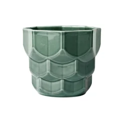 Samsurium Flowerpot, spruce