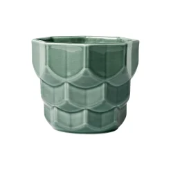 Samsurium Flowerpot, spruce
