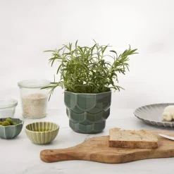 Samsurium Flowerpot, spruce