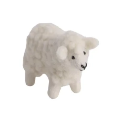 Sau fluffy, hvit